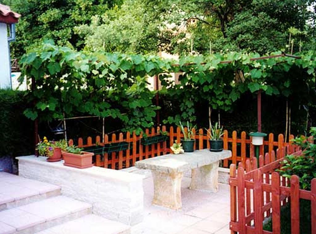 Apartment Felix Porec Bagian luar foto